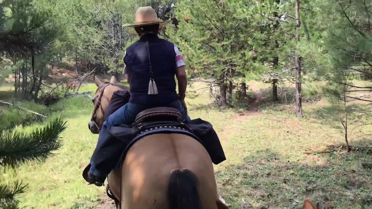 Ochoco Mountain Riding Between Happy Camp and Derr Meadows&mdash;August 2018