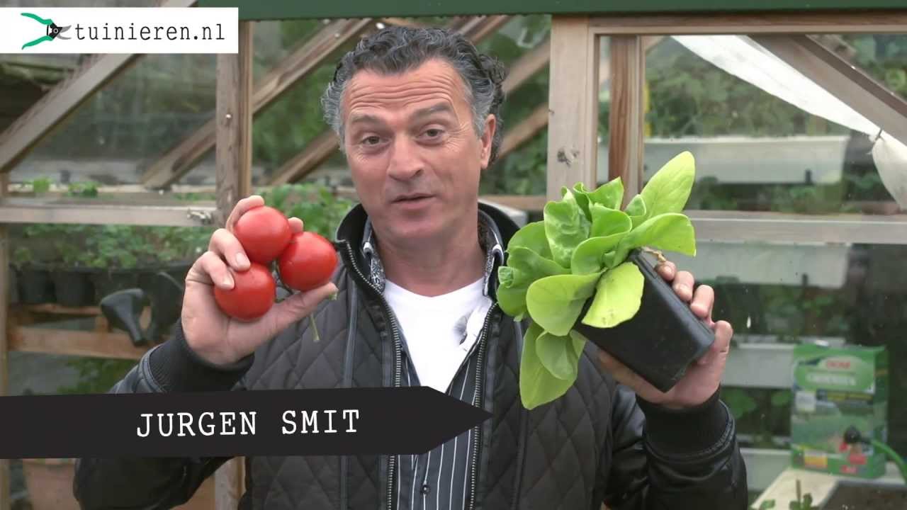 Moestuin bemesten: groenten, fruit en kruiden - Tuinieren.nl