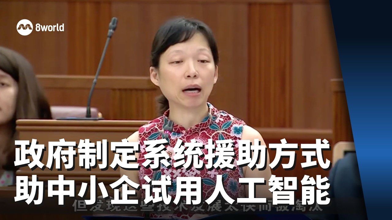 刘洁敏：政府将制定风险较低且有系统援助方式 助中小企试用人工智能