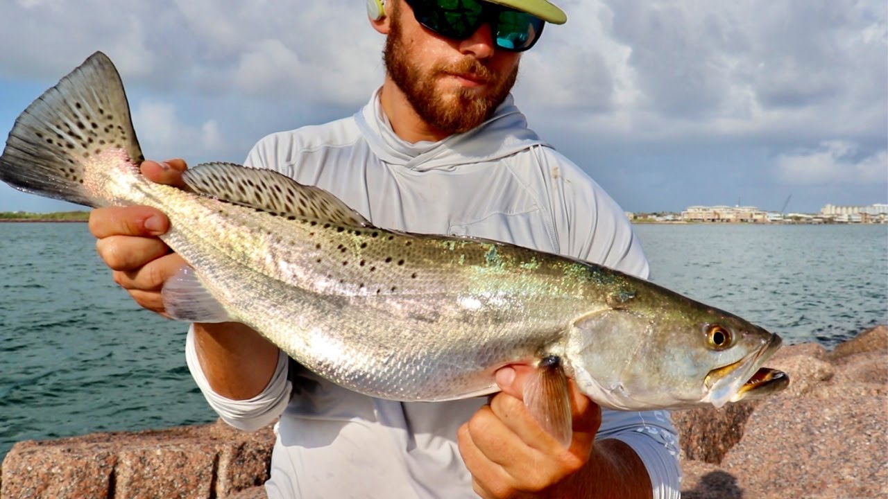 When, Where, and How to Catch Big Trout This Fall (Patterns & Tactics!!!)