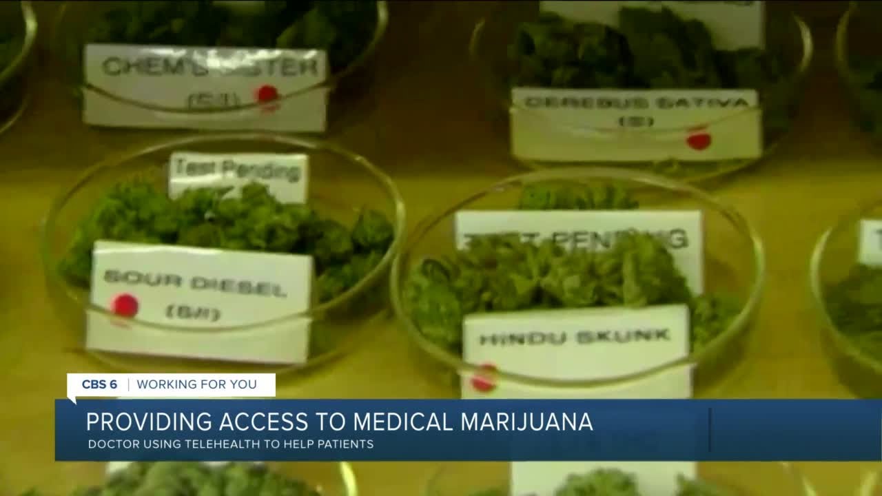 Virginia father, son connect patients with medical marijuana through telehealth