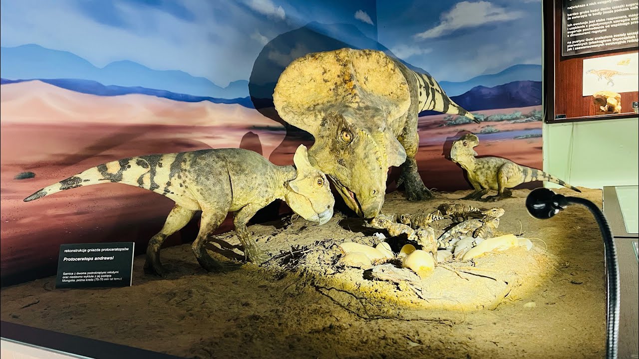 Warsaw Museum of Evolution, Poland 🇵🇱 #walkingtour #travel #polska
