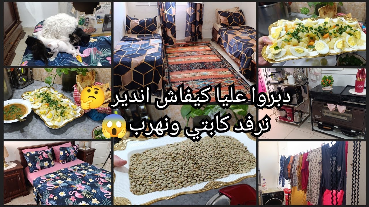 هاذي حالتي كل صباح 🏃حصلت واحد الحصلة😱كلملتي كلمة ونحكم في كلش😱دبروا عليا  كيفاش اندير🤔نرف كابتي ونهر