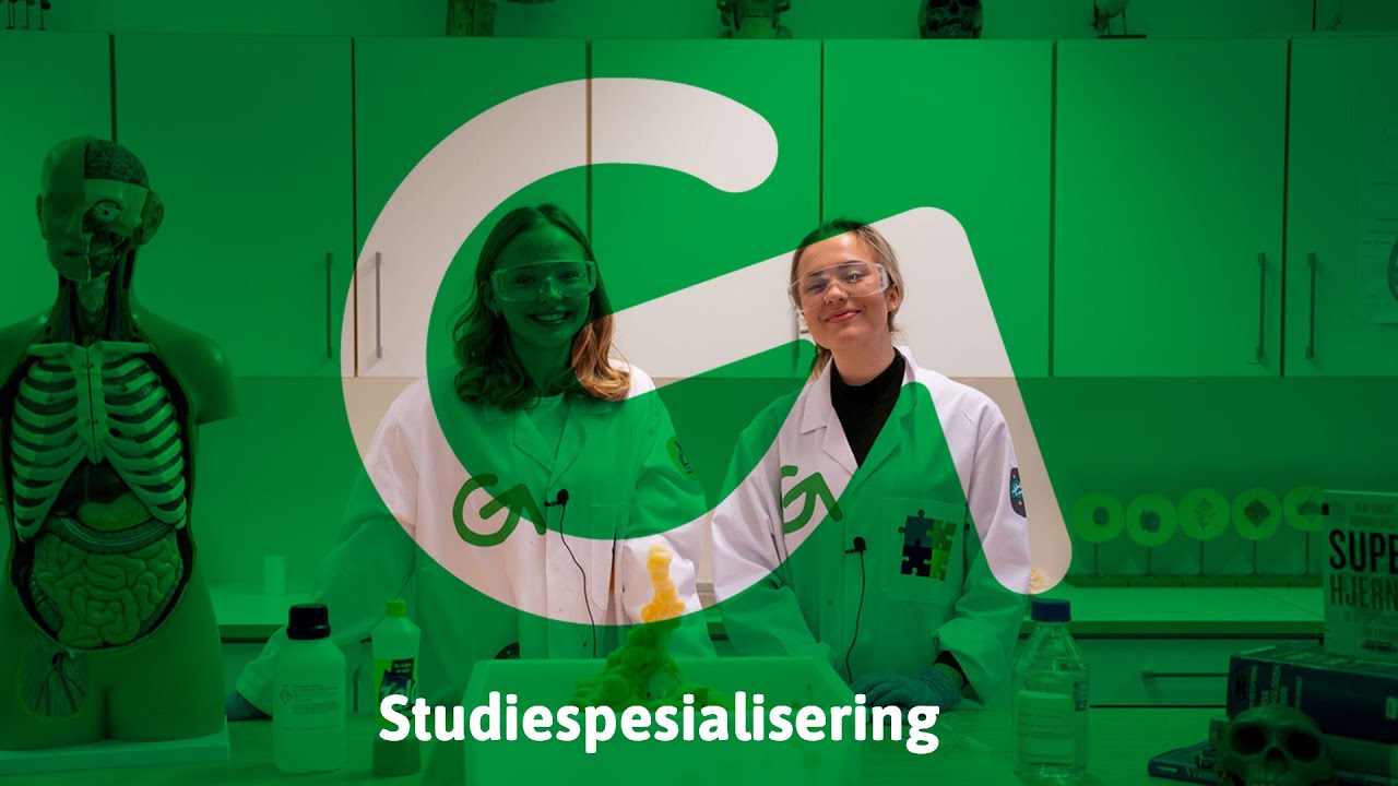 Studiespesialisering