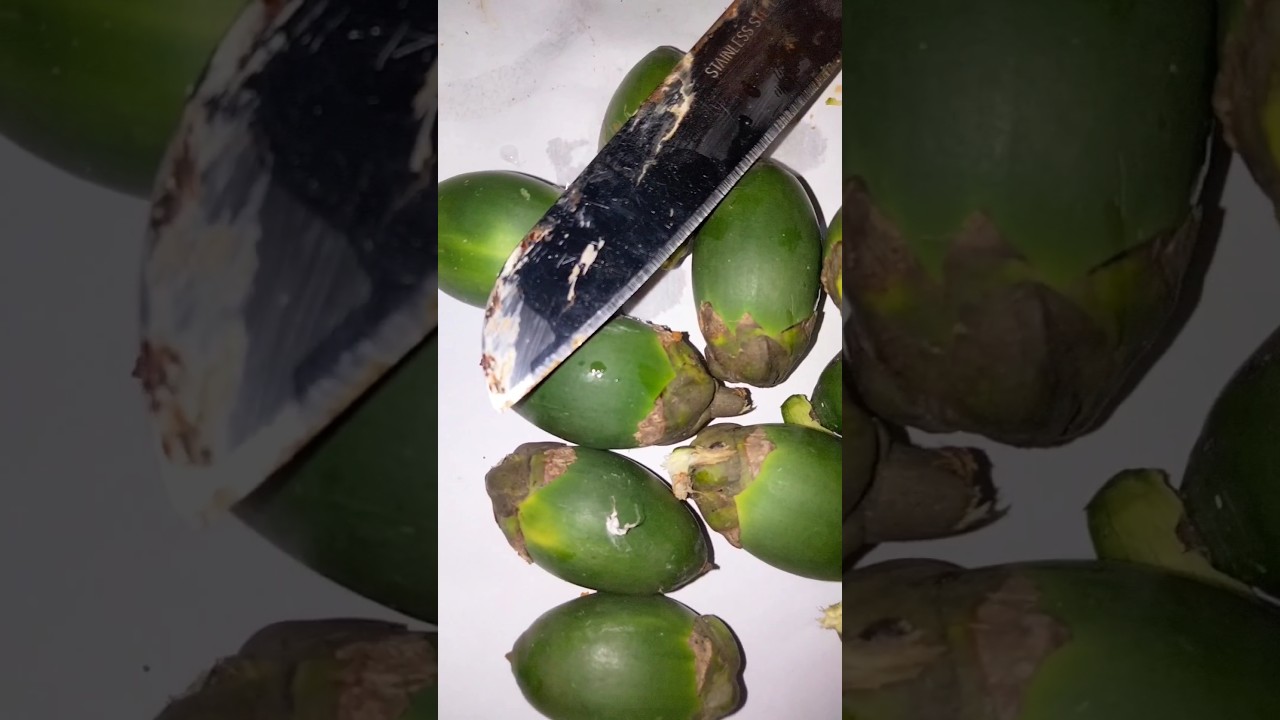 Unleashing the Ultimate Areca Nut Peeling Hack!