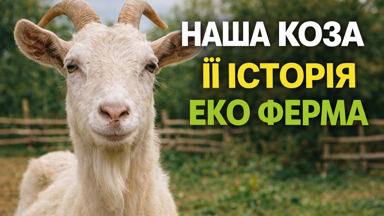 Наша коза: звідки вона у нас? | Життя на еко фермі