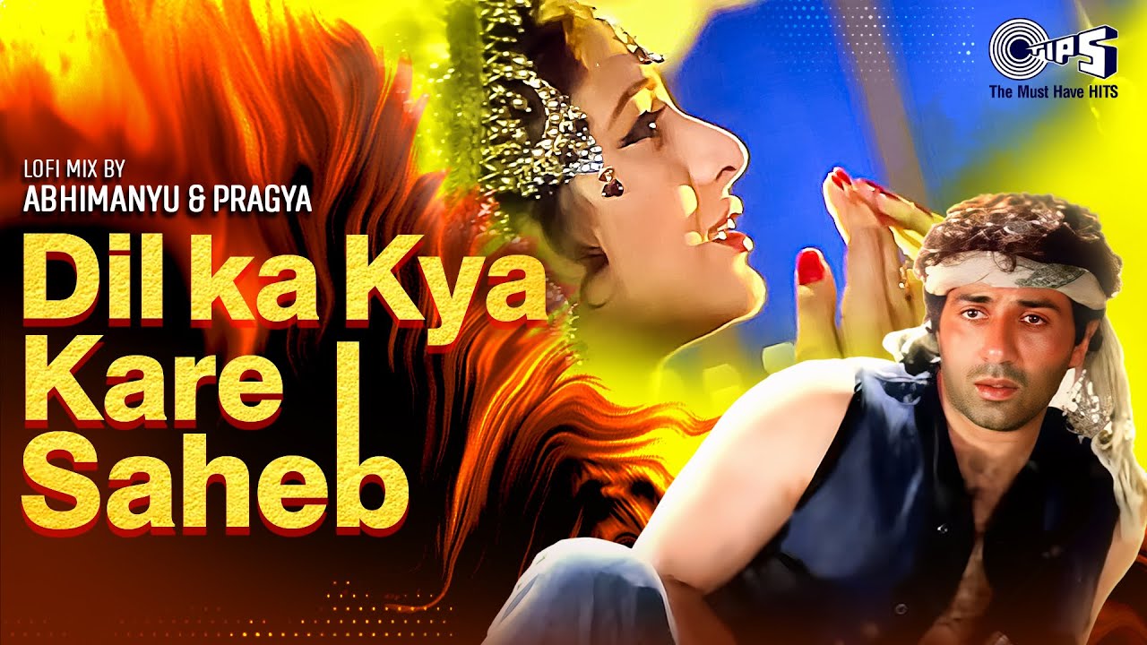 Dil Ka Kya Kare Saheb Lofi Mix Song | Jeet | Tabu, Sunny Deol | Kavita Krishnamurthy |90s Hindi Hits
