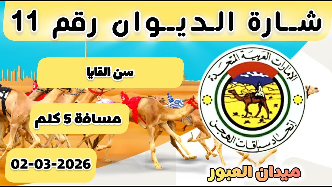 🔳الشوط 1 .. ( ابكار محليات )‏🥇 (بهجه) لـ سعيد جابر عبدالله محمد 7:34:41