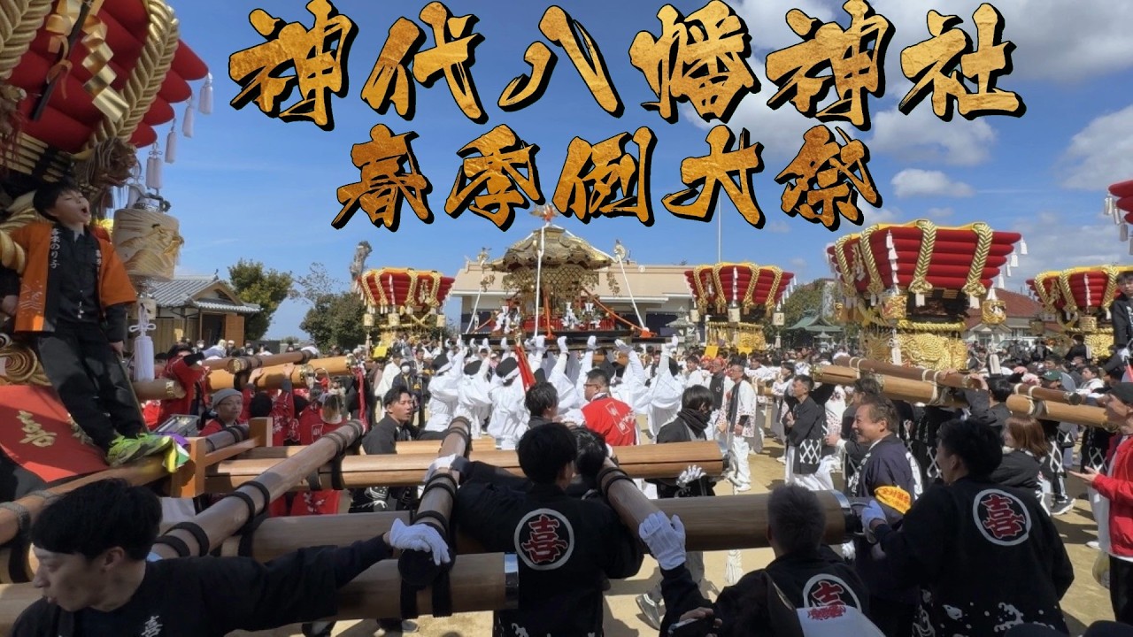 最高👏😂今年もやらかしましたね😂令和8年 神代八幡神社春祭り本宮 神輿 総練り🙌