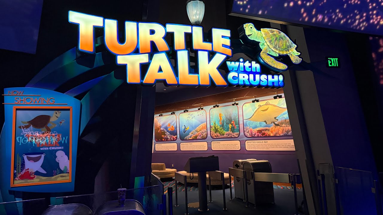 Turtle Talk with Crush 4K Experience with Excellent Light Disney California Adventure December 2024