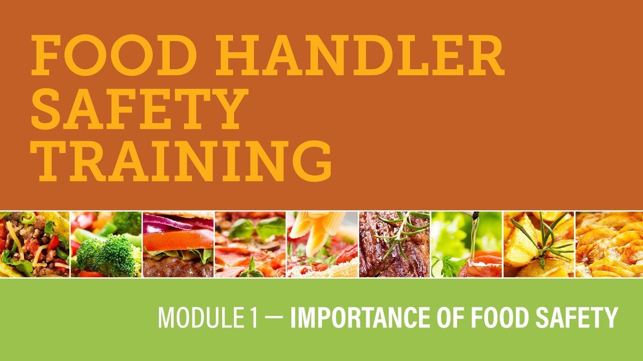Module 1 &mdash; Importance of Food Safety