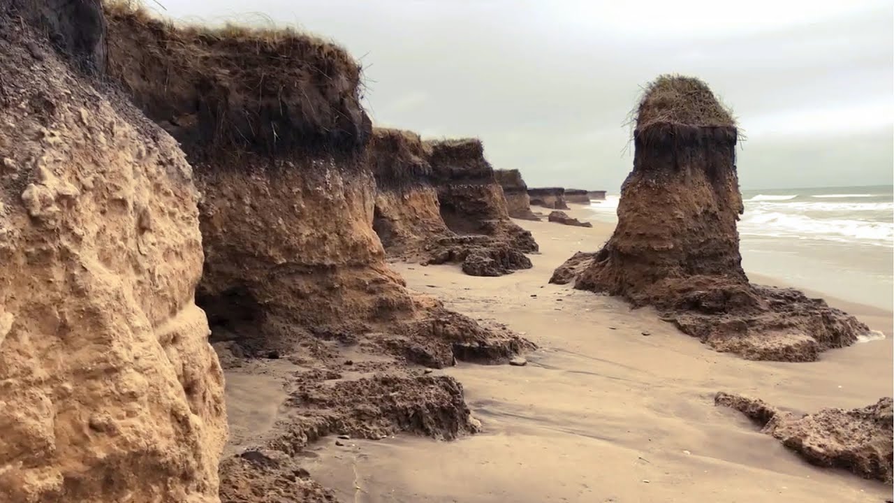 Barrancas de Camet Norte | Costa Atlántica