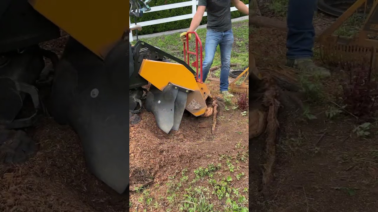 Stump Removal #BSG