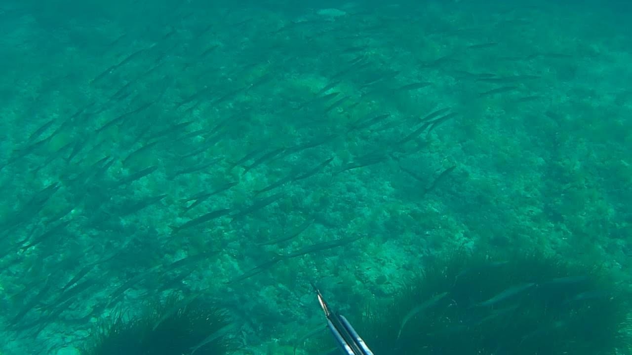 Pesca Sub - Rientro in Mare con Cressi Cherokee Fast 90