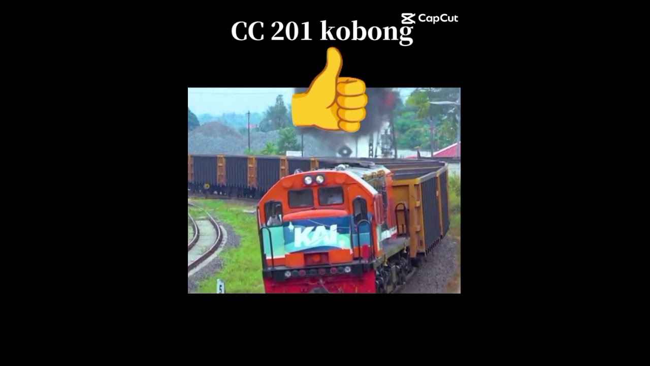 CC 206: maaf masih pemula 🗿