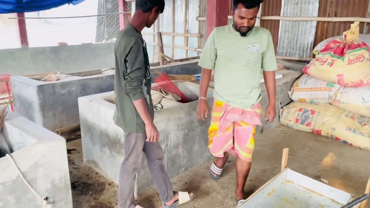 আপনারাই বলেন তো ব্লগার না টিকটকের?