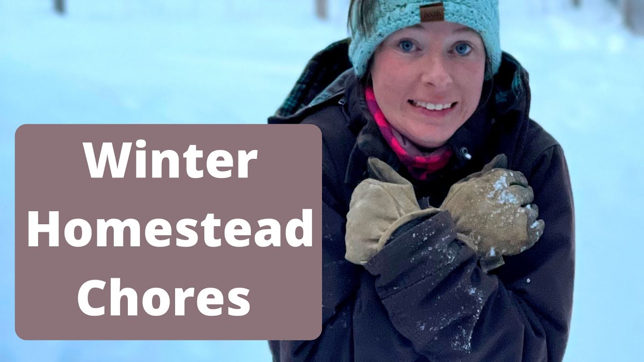 Winter Chores in North Idaho | Our First Vlog