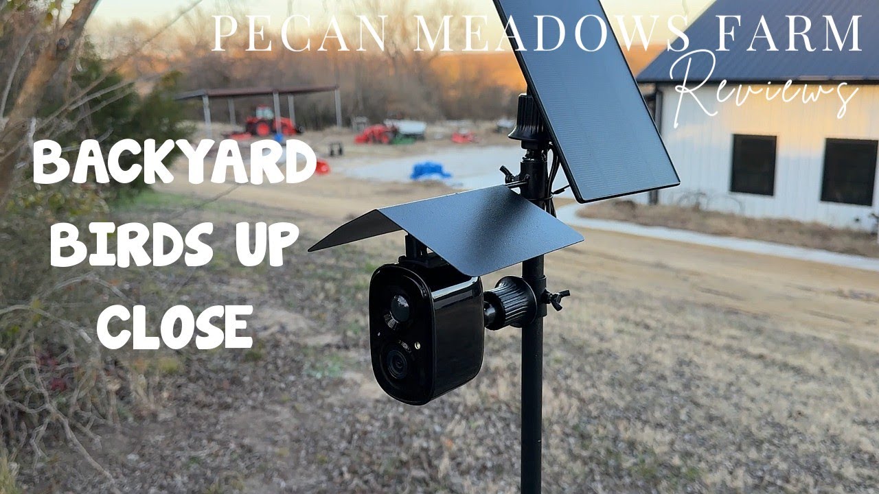 Smart Bird Feeder Camera Review | 2.5K HD AI Bird Identification & Solar Power