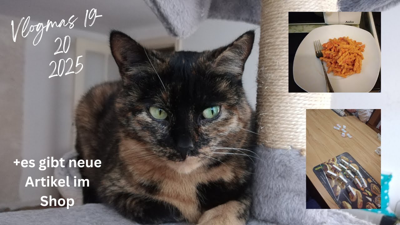 Wieder eine kleine Aufbrauch Challeng. Vlogmas 2025 Tag 19-20