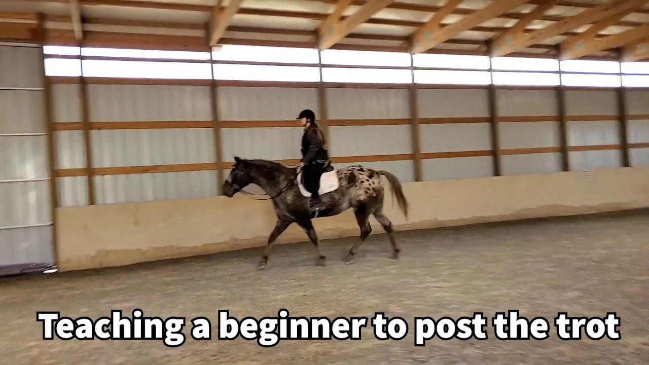 Bug Teaching a Beginner to Post the Trot - 2020