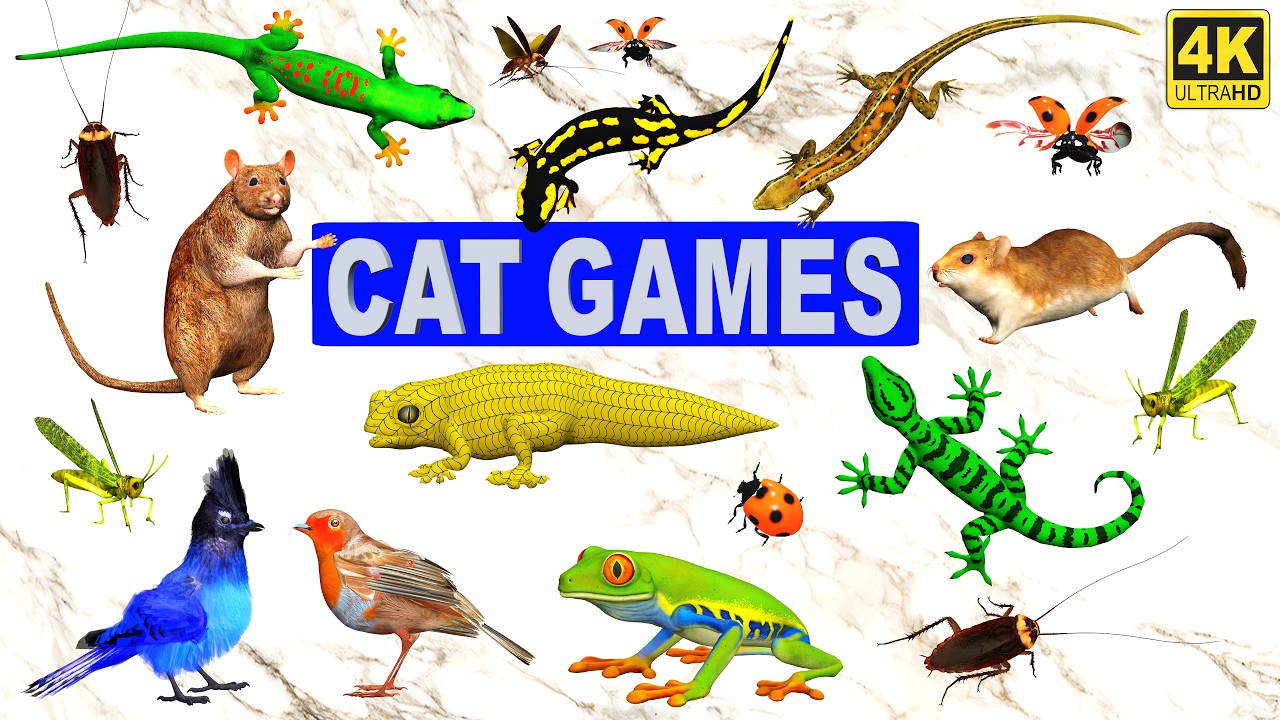 🐱 3D TV for Cats | Ultimate 3D Cat Game With Mice Birds Bugs Lizards & More | Best Games For Cats 4k