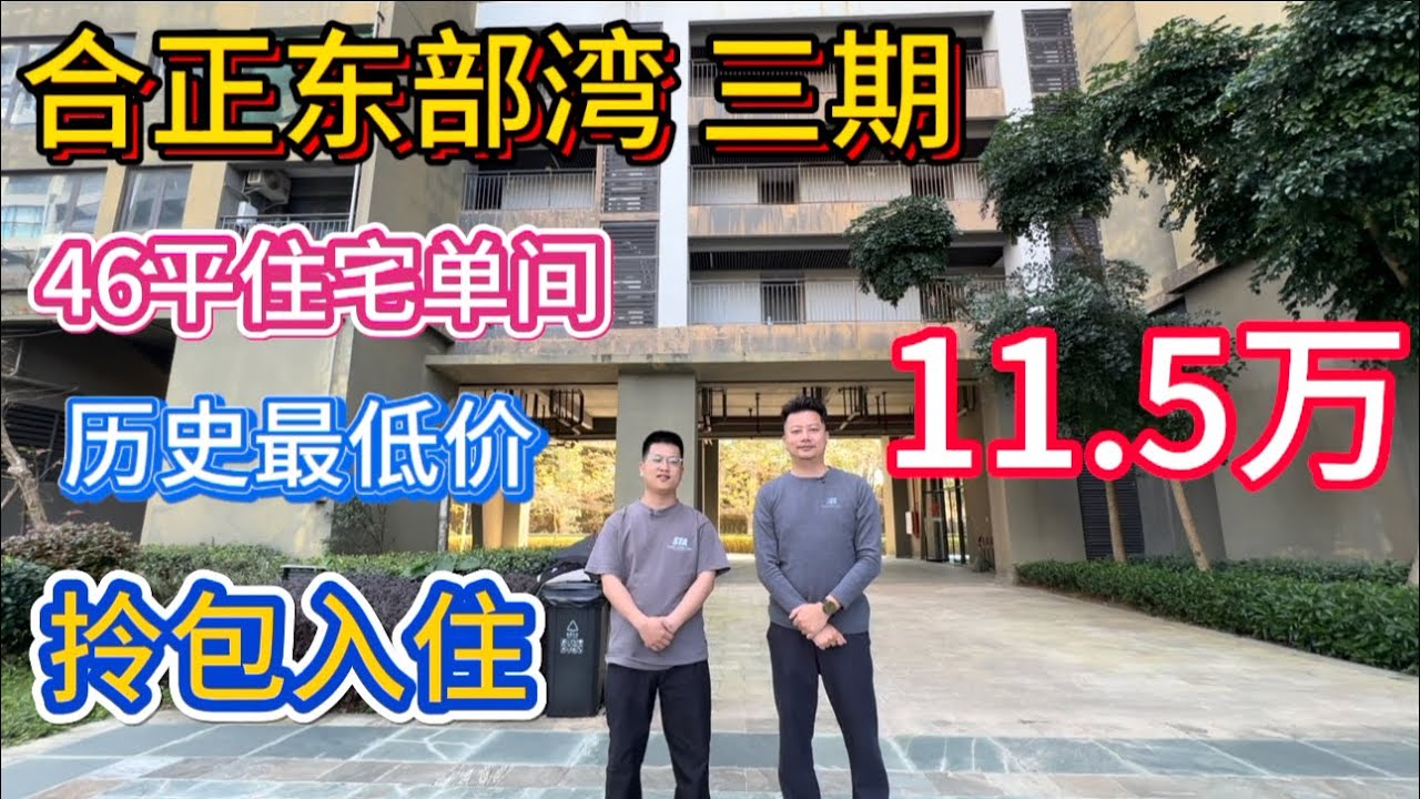 一降再降，年前串，年后喊！合正东部湾46平方米单间住宅！拎包入住11.5万！