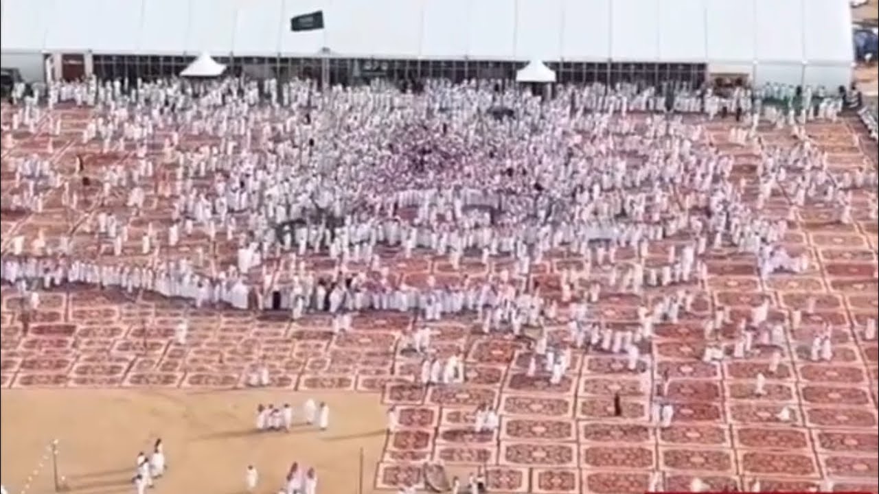حفل المشهور :غازي الذيابي وملفى القبائل عليه في جادة الابل بالطايف