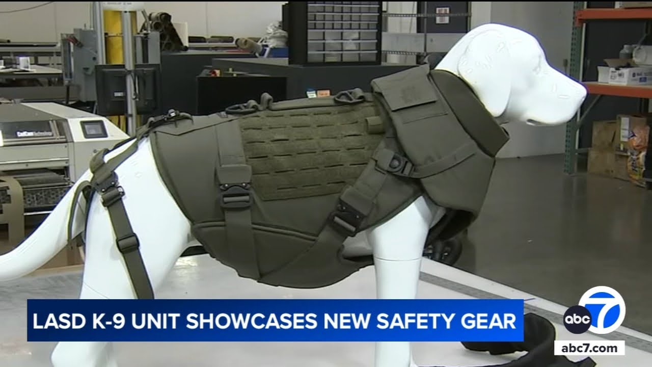 Fallen LASD K-9 inspires new ballistic vest designed to protect police dogs in the line of duty