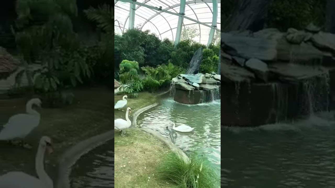 Chandigarh Bird Park, adjoining Sukhna Lake and Rock Garden