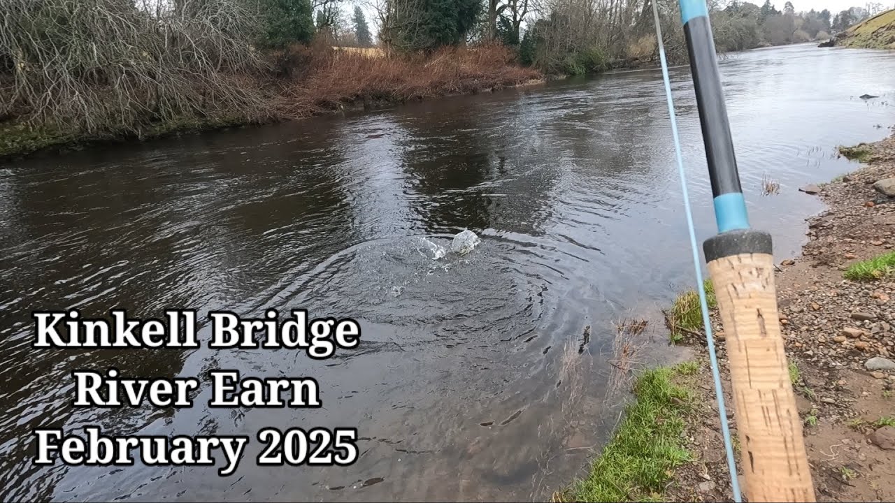 Salmon Fishing River Earn February 2025
