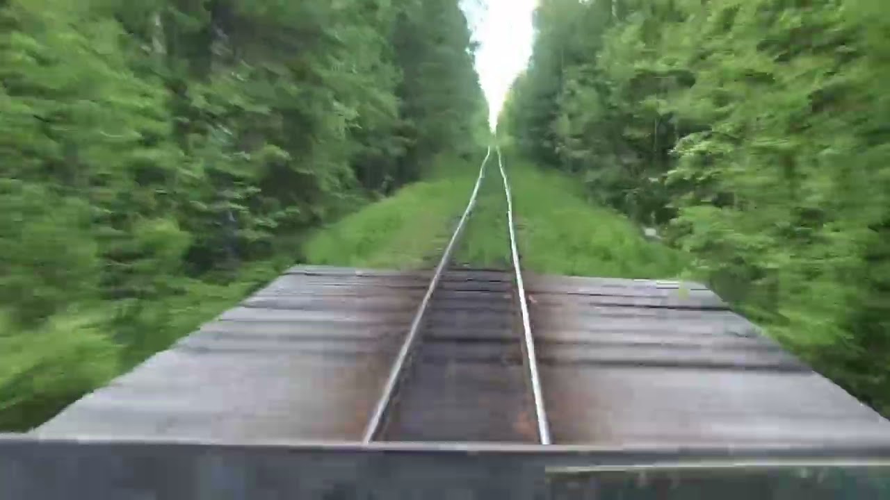 Харитоновская (Нюбская) УЖД (2022.06.19)