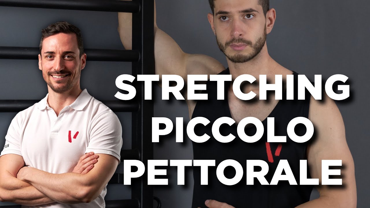 Come allungare il piccolo pettorale