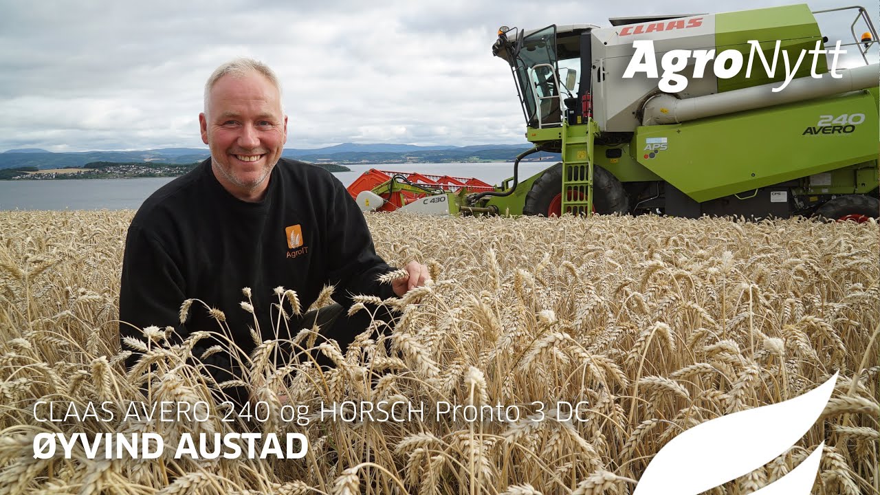 CLAAS AVERO 240 og HORSCH Pronto 3 DC | Øyvind Austad