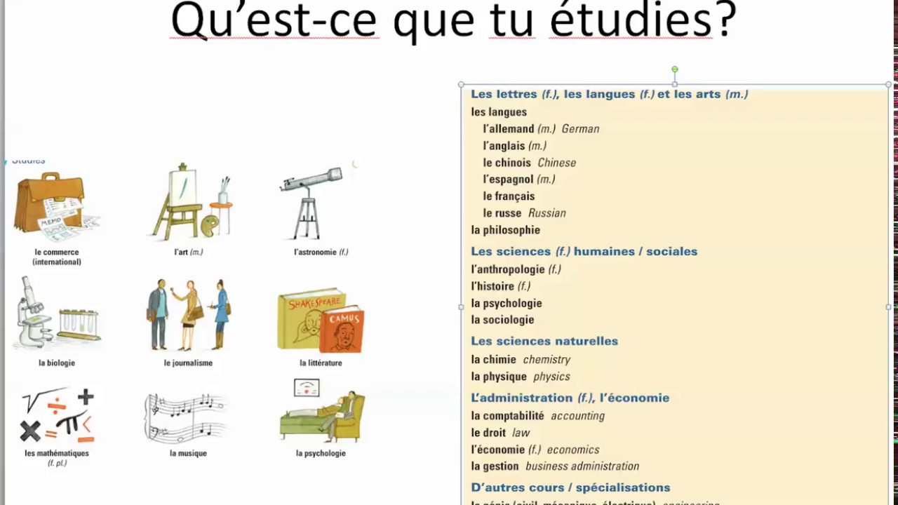 What are you studying?- qu'est-ce que tu étudies?