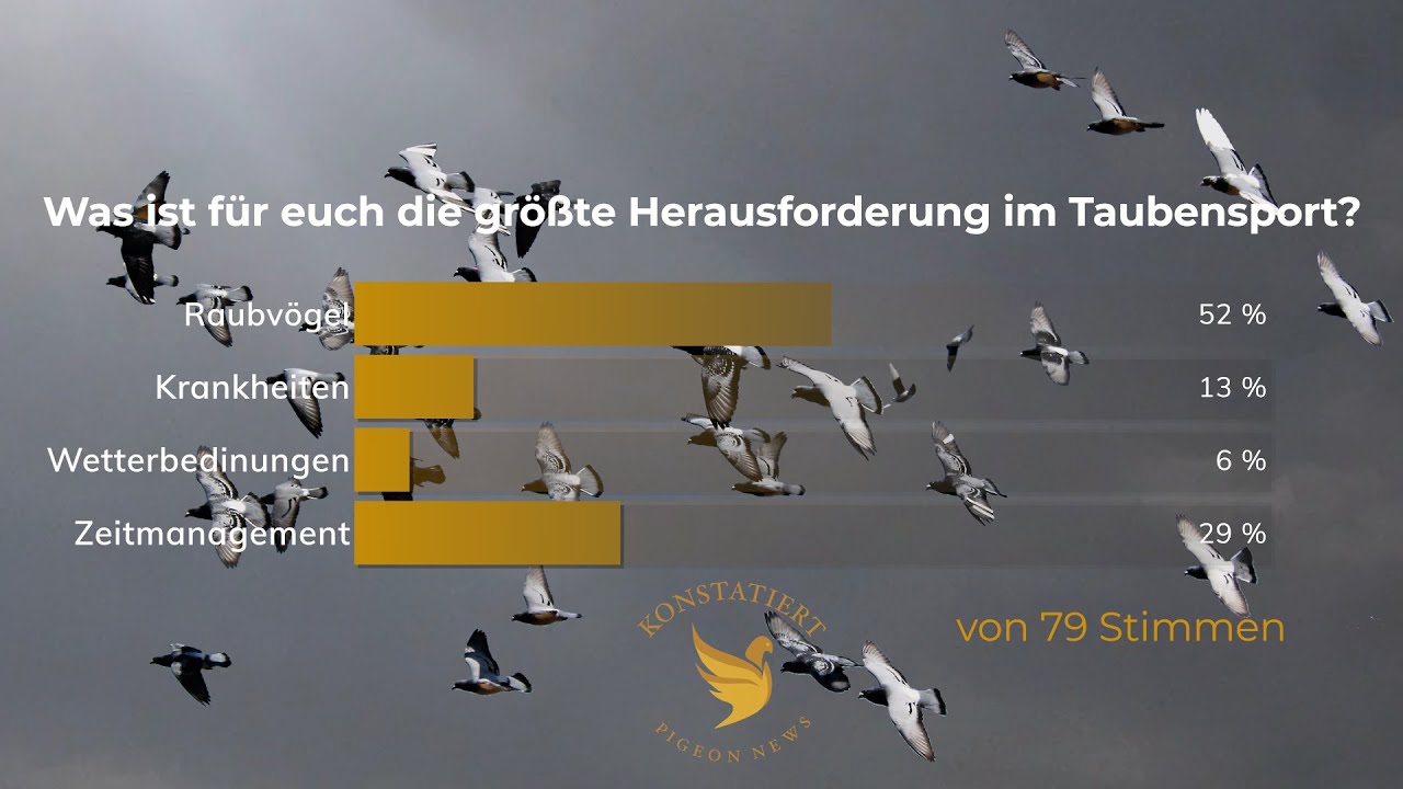 Was ist die gr&ouml;&szlig;te Herausforderung im Taubensport? | Tauben-Umfragen