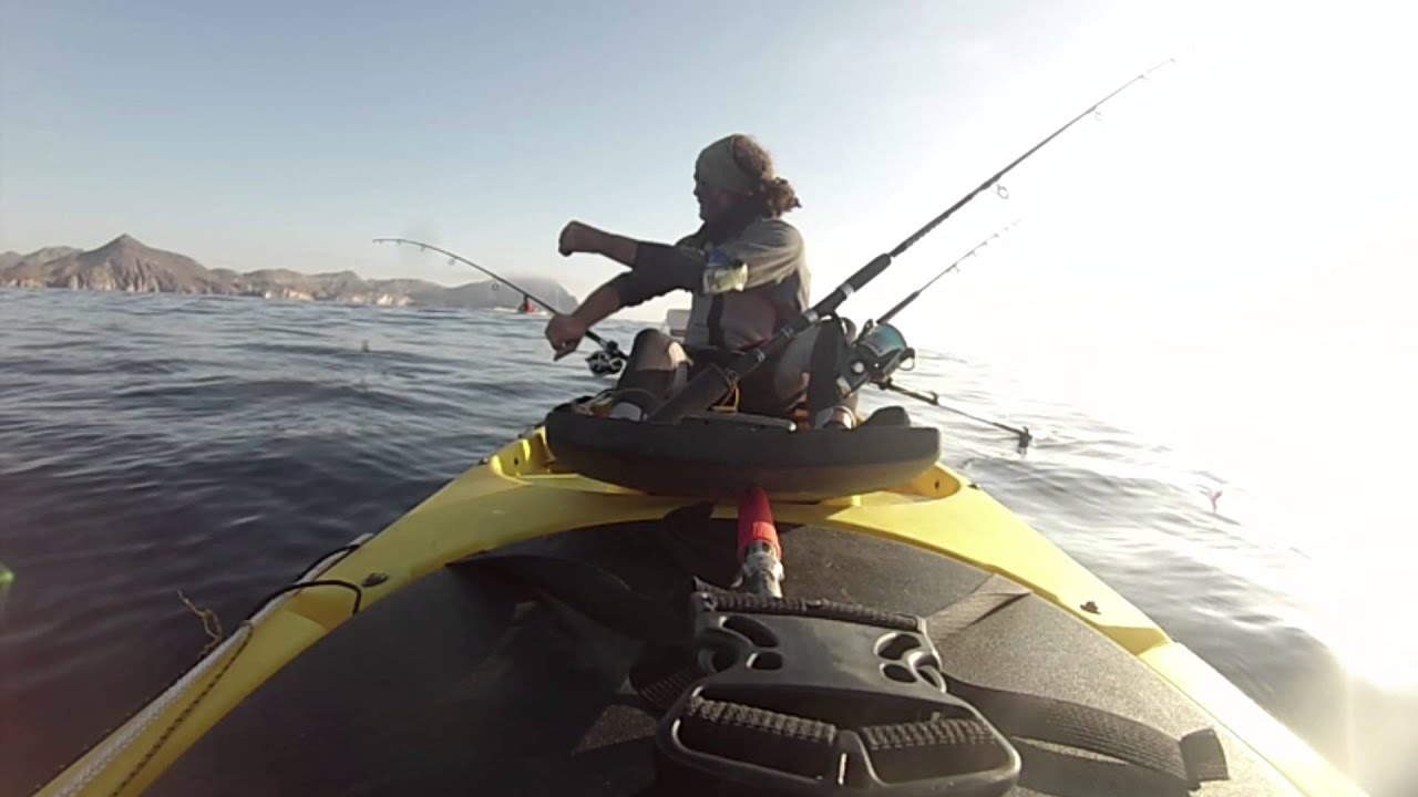 Captura y suelta Dentón + Picada colosal ~ Vivo Kayak Almería