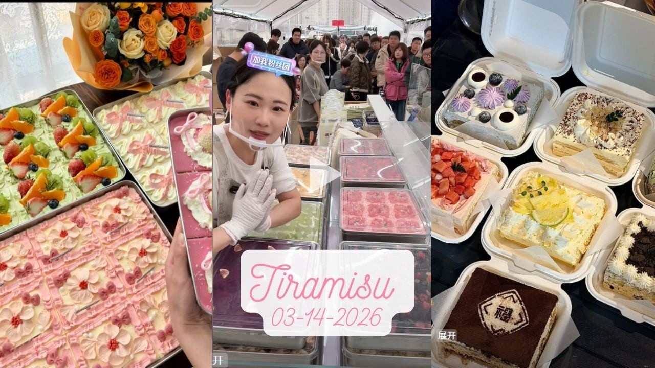Tiramisu Cake Livestream Sale (100 trays)|Zhao Zhao #03142026 #tiramisu #cake #dessert