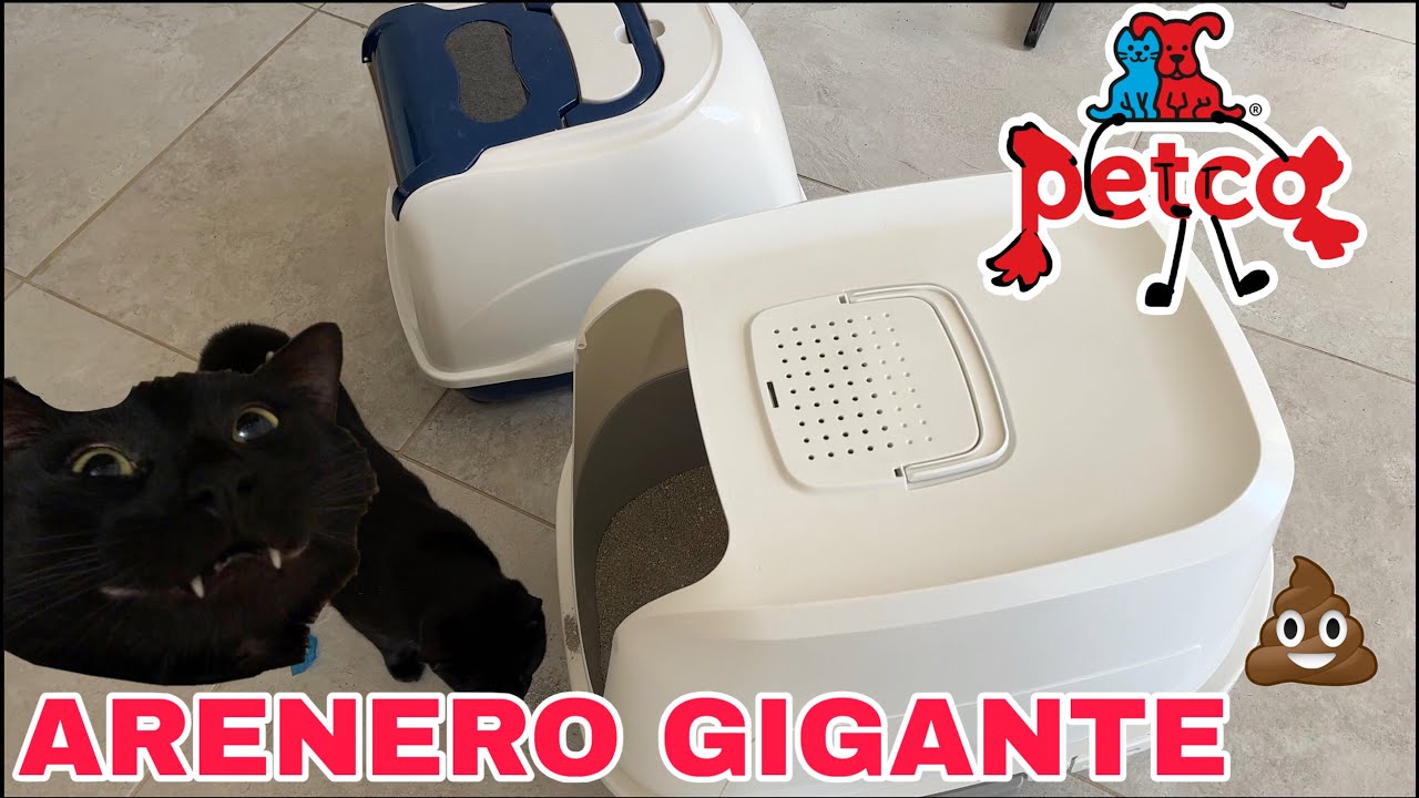 Arenero Petco Sophresh para gato