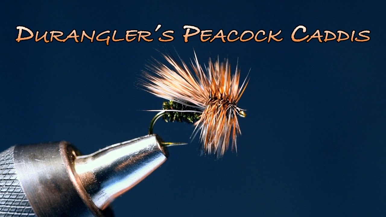 Инструкция по вязанию мушки Duranglers Peacock Caddis от Чарли Крейвена