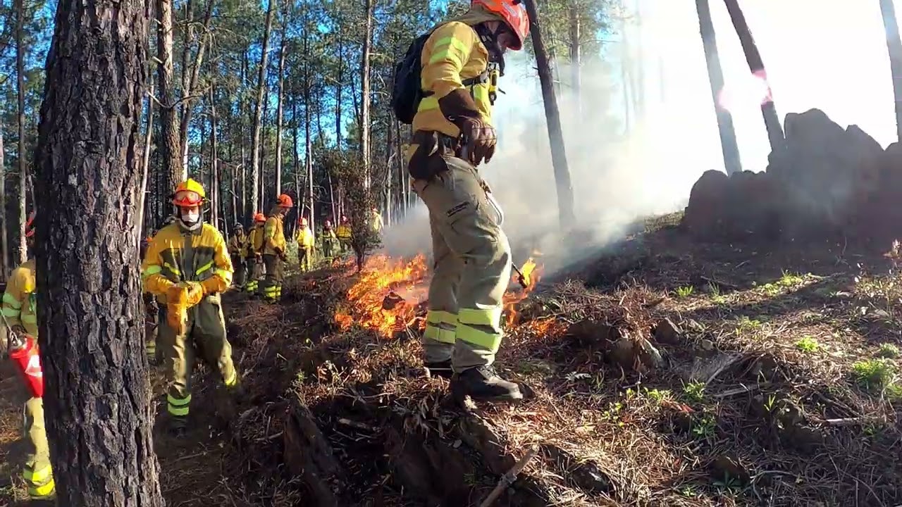 QUEMAS PRESCRITAS. PLAN INFOEX. BOMBEROS FORESTALES EXTREMADURA.
