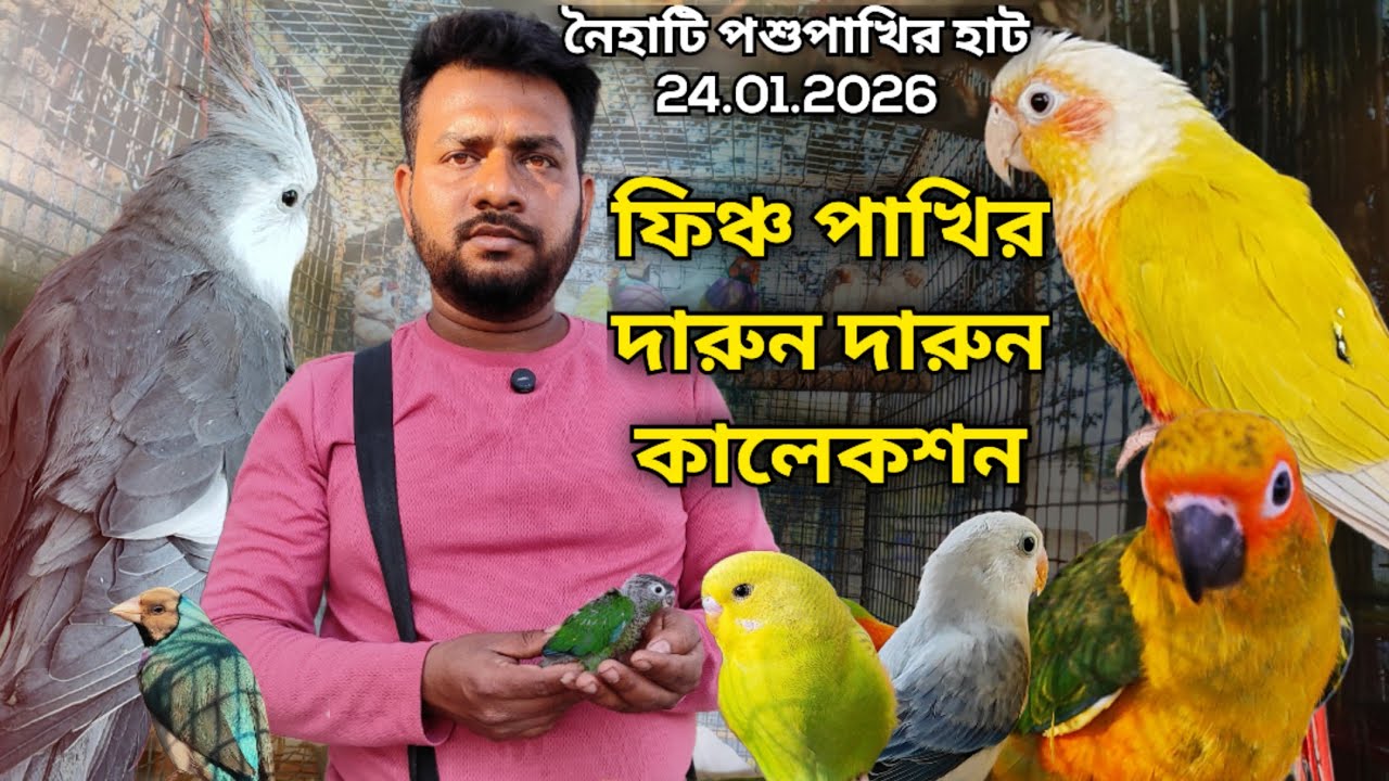 ।।ফিঞ্চ পাখির দারুন দারুন কালেকশন✨।।Part -1।।Naihati Pet Market✨।।Recent Price of Exotic Birds।।