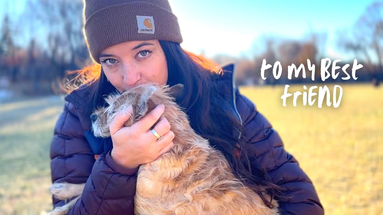 A tribute to my best friend, my dog Sterling
