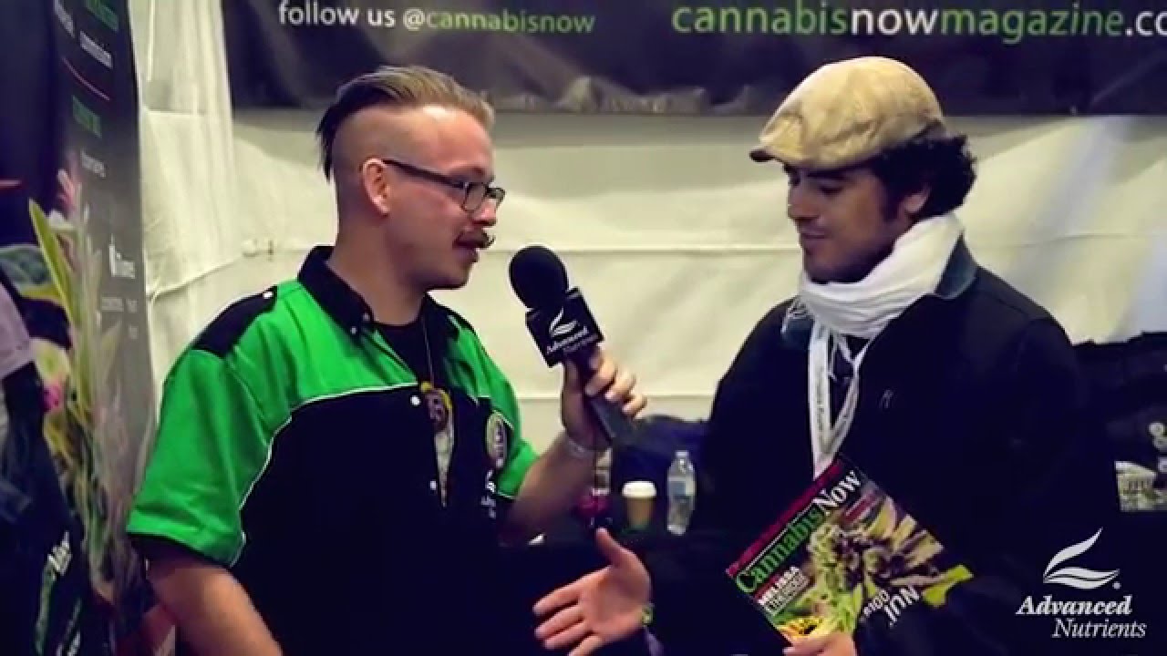 Emerald Cup Santa Rosa 2015 - Cannabis Now Magazine
