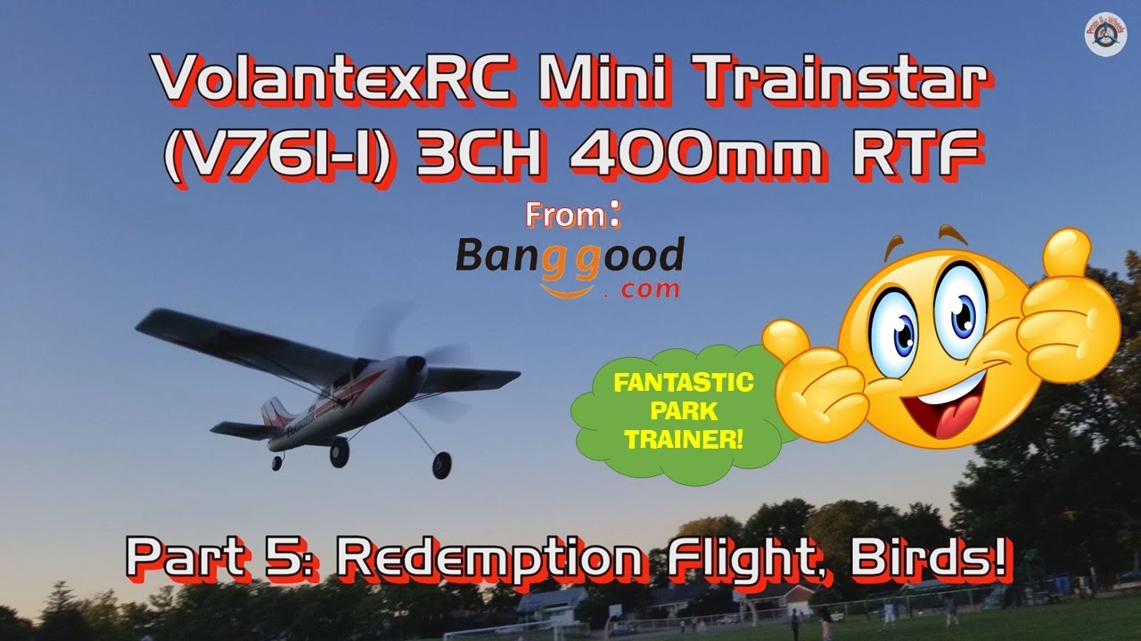 VolantexRC Mini Trainstar V761-1 3CH RTF from Banggood - Part 5: Redemption Flight, Birds!
