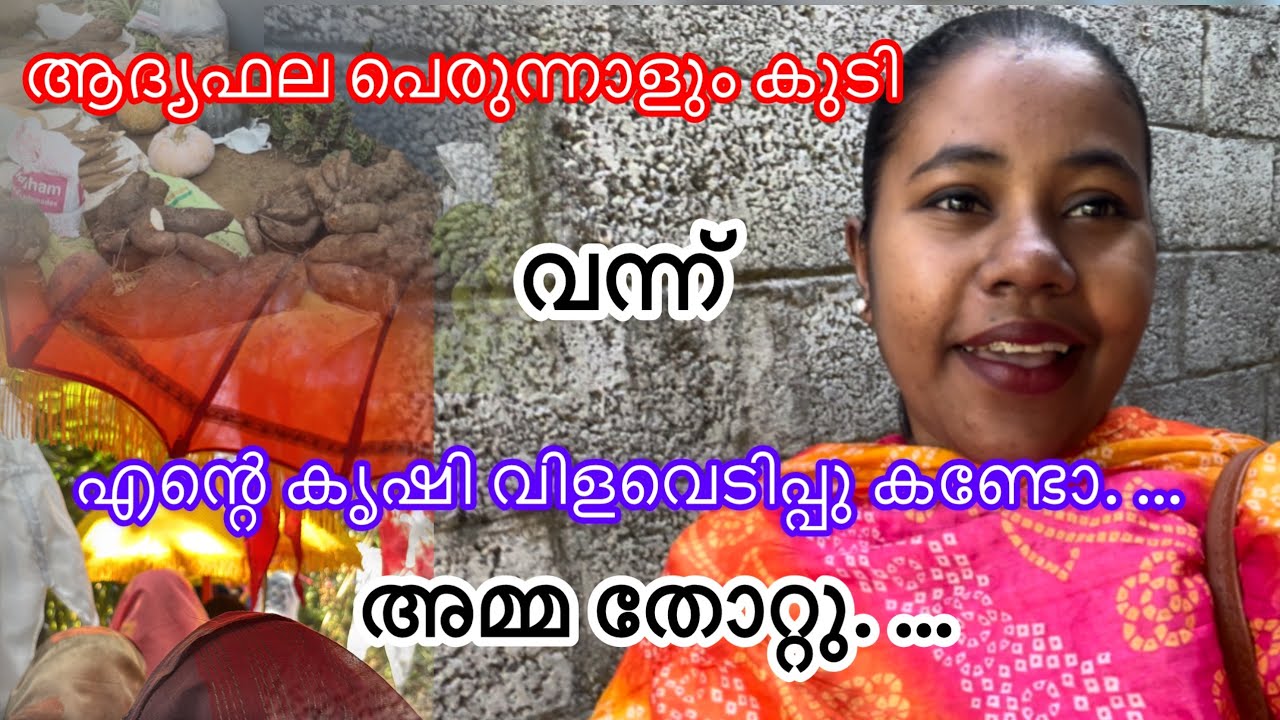 ഇനി ആരും പറയില്ല ഞാൻ നട്ടാൽ പുല്ലുപോലും മുളക്കില്ല എന്ന് #viralvideo #lijisujith #trending #idukki 