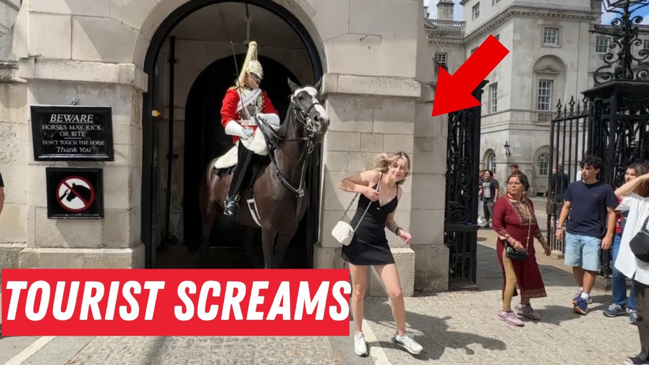 Guard Furious as Tourist Enters Box – Horse Moves In & Crowd Screams!