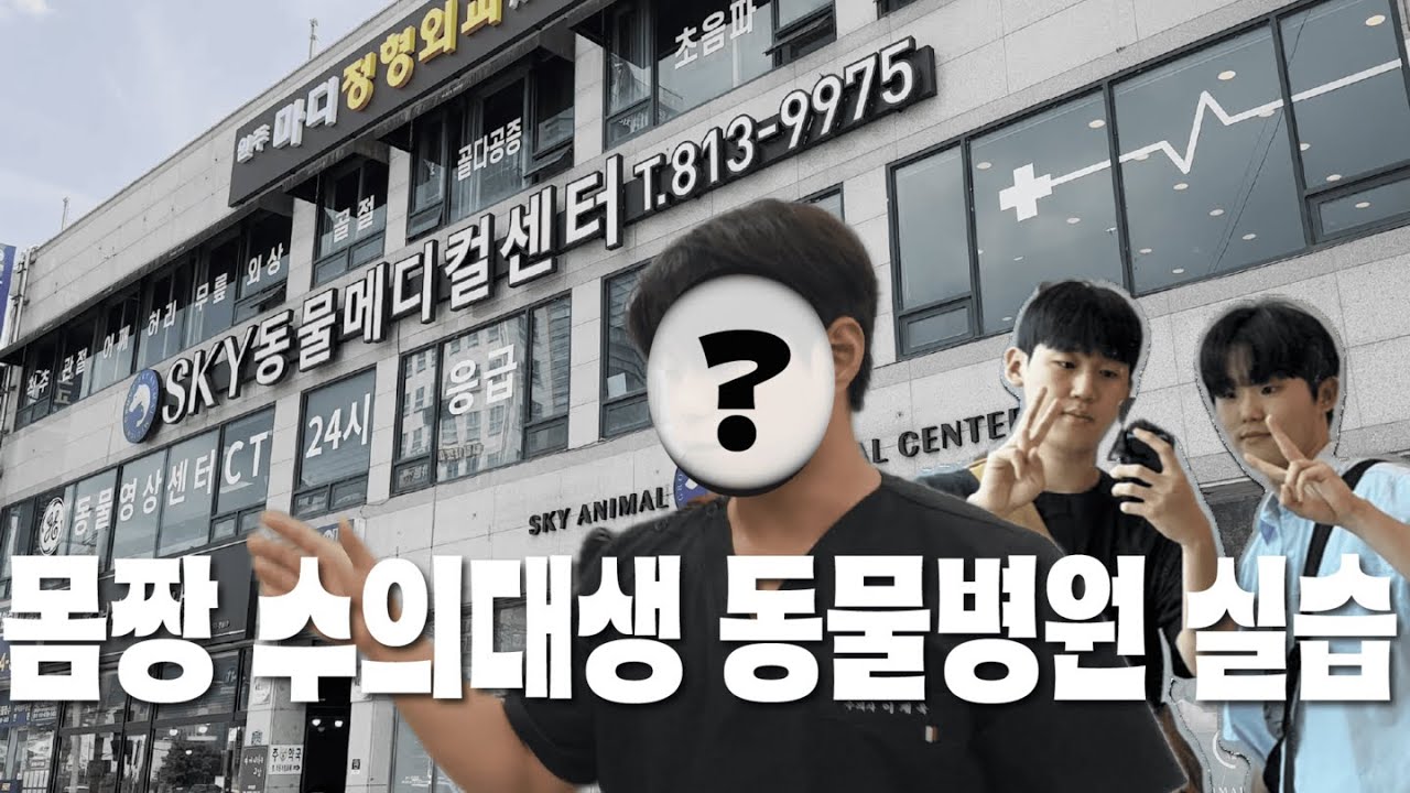 [수의대생 실습 vlog #11] 🐾원주 sky 동물메디컬센터 I 몸짱 수의대생의 동물병원 실습부터 원장님의 인터뷰까지 I 예과 편집부 실습, 취재 🐾