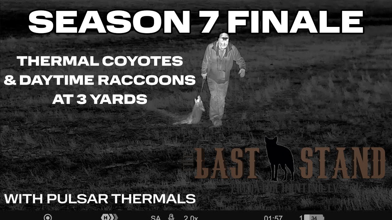Season 7 FINALE: Thermal Coyotes & Daytime Raccoons at 3 Steps! The Last Stand S7:E14