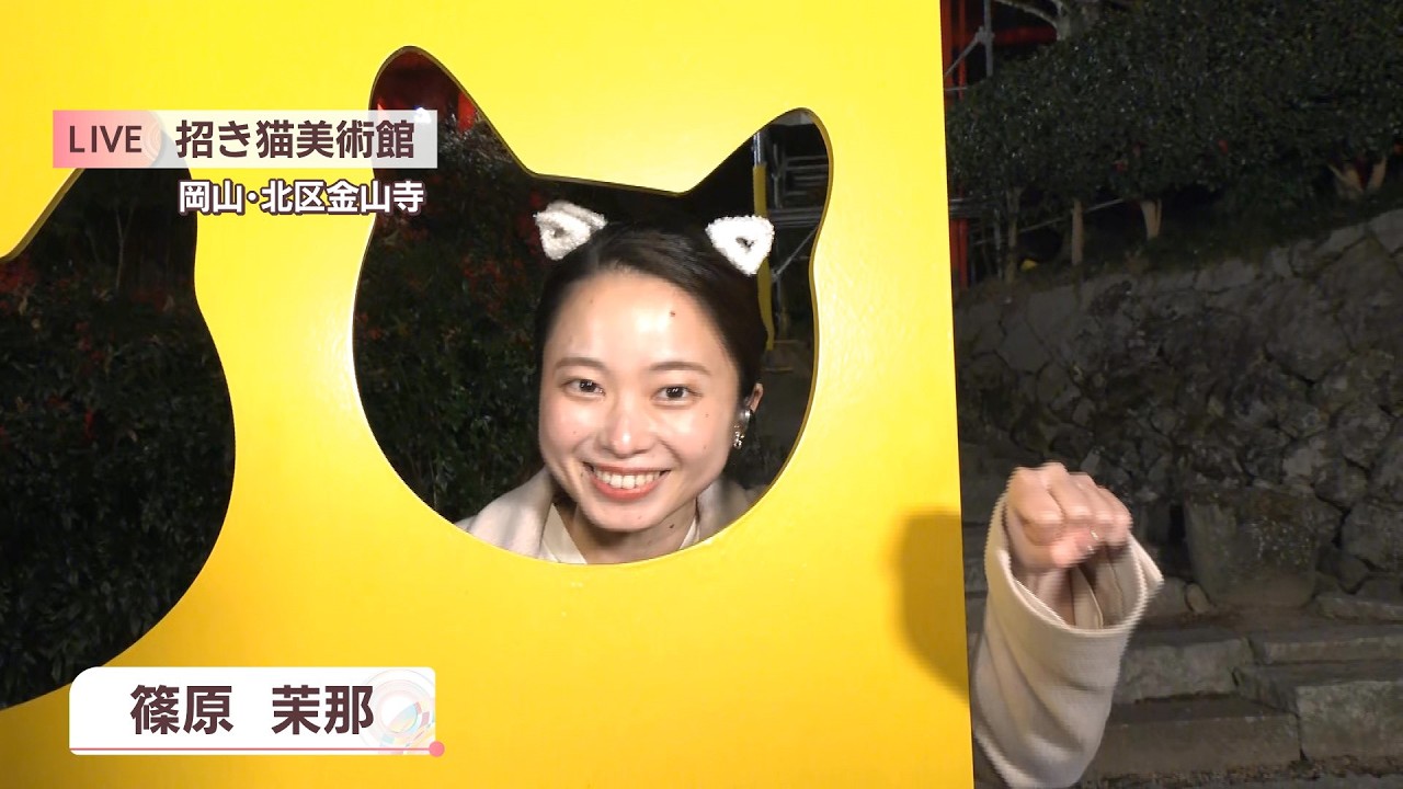 【中継】金の招き猫に願いごとや絵付け体験も　猫たちに癒やされる「招き猫美術館」　岡山市〈#推しドコ？〉