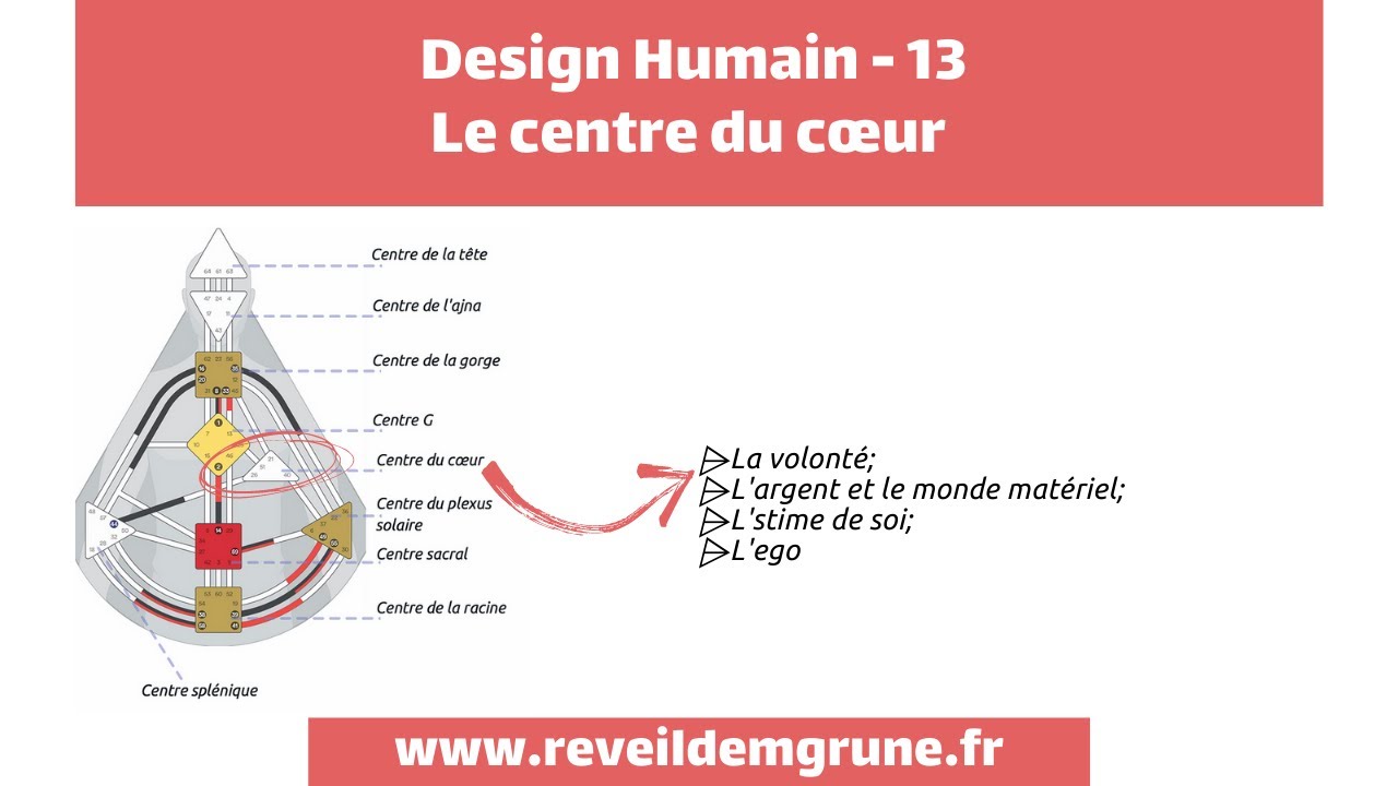 Design Humain - 13: centre du cœur